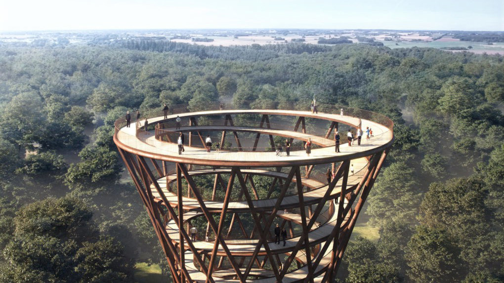 Treetop3_16_9